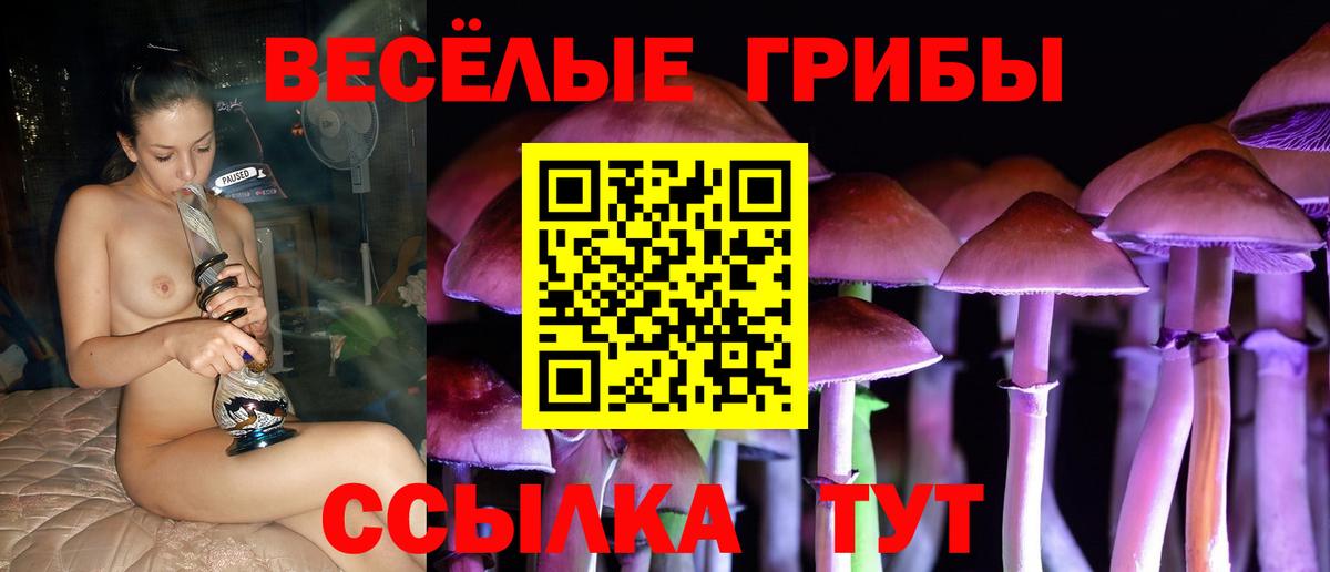 Псилоцибиновые грибы прущие грибы  Вход с VPN  Тосно 